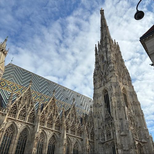 SnapInsta.to 563980249 18021070022761765 5398725647885638073 n